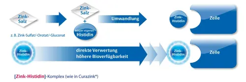 Zinkverbindungen: [Zink-Histidin]-Komplex