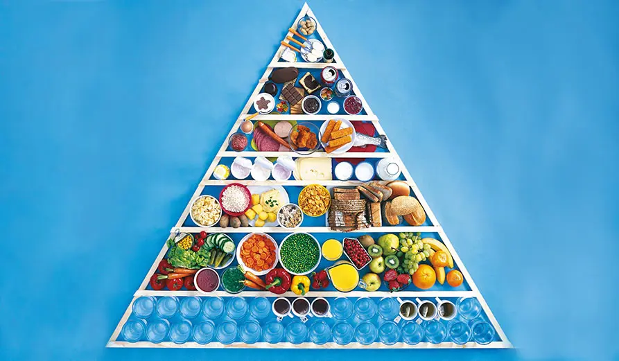 Ernährungspyramide DGE