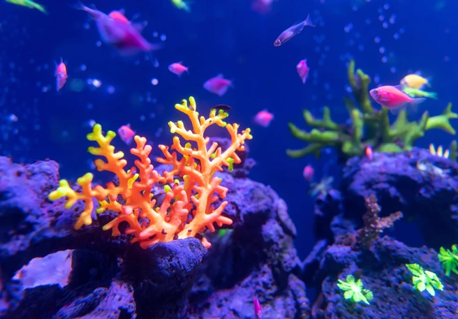 Umweltbewusste Sonnencreme