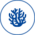 Icon für korallenfreundliches Produkt
