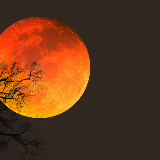 Schlaflosigkeit bei Vollmond ist ein bekanntes Phänomen Schlaflosigkeit bei Vollmond ist ein bekanntes Phänomen