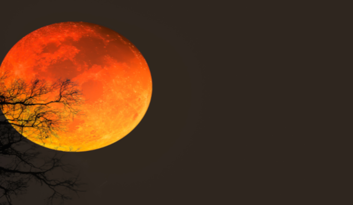 Schlaflosigkeit bei Vollmond ist ein bekanntes Phänomen Schlaflosigkeit bei Vollmond ist ein bekanntes Phänomen