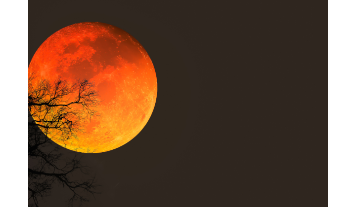 Schlaflosigkeit bei Vollmond ist ein bekanntes Phänomen  